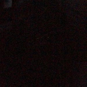 Meet your Posher, Sandy